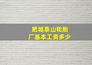 肥城泰山轮胎厂基本工资多少