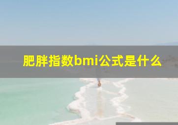 肥胖指数bmi公式是什么