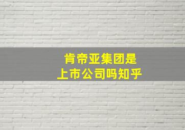 肯帝亚集团是上市公司吗知乎