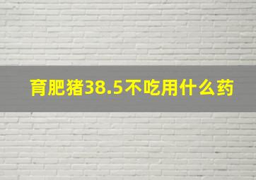 育肥猪38.5不吃用什么药