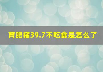 育肥猪39.7不吃食是怎么了