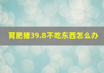 育肥猪39.8不吃东西怎么办