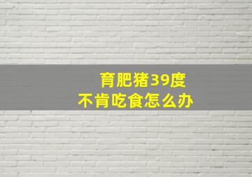 育肥猪39度不肯吃食怎么办