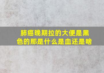 肺癌晚期拉的大便是黑色的那是什么是血还是啥