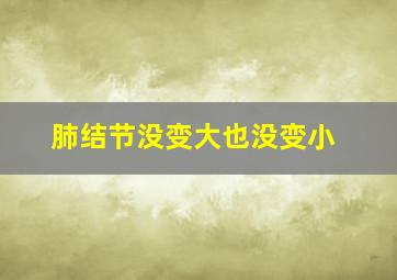 肺结节没变大也没变小