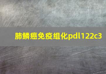 肺鳞癌免疫组化pdl122c3