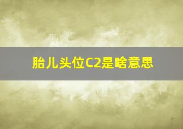 胎儿头位C2是啥意思