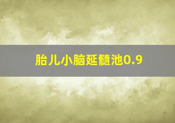 胎儿小脑延髓池0.9