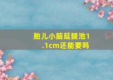 胎儿小脑延髓池1.1cm还能要吗