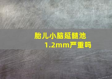 胎儿小脑延髓池1.2mm严重吗