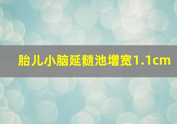 胎儿小脑延髓池增宽1.1cm