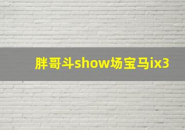 胖哥斗show场宝马ix3