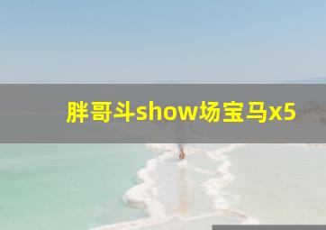 胖哥斗show场宝马x5