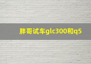 胖哥试车glc300和q5