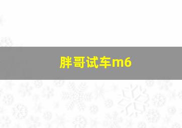 胖哥试车m6