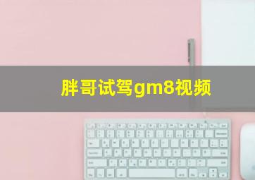 胖哥试驾gm8视频