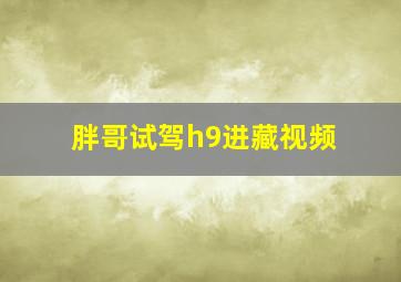 胖哥试驾h9进藏视频