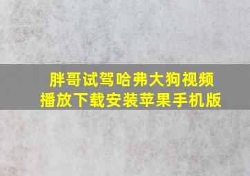 胖哥试驾哈弗大狗视频播放下载安装苹果手机版