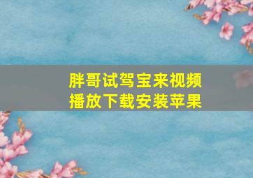 胖哥试驾宝来视频播放下载安装苹果