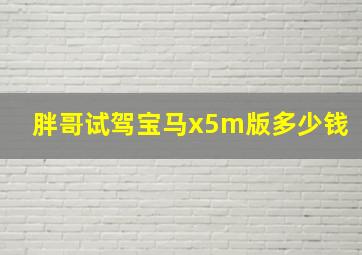 胖哥试驾宝马x5m版多少钱