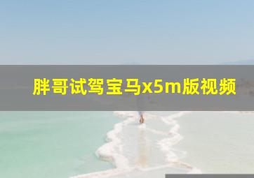 胖哥试驾宝马x5m版视频