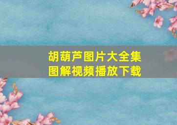 胡葫芦图片大全集图解视频播放下载