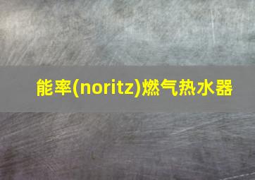 能率(noritz)燃气热水器