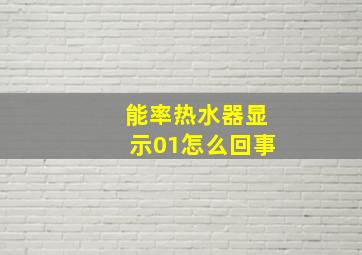 能率热水器显示01怎么回事