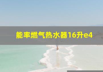 能率燃气热水器16升e4