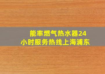 能率燃气热水器24小时服务热线上海浦东