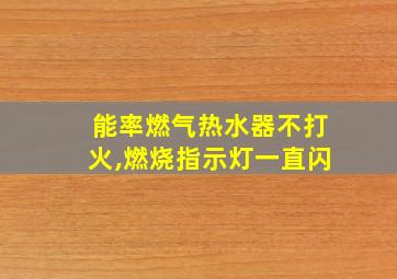 能率燃气热水器不打火,燃烧指示灯一直闪