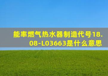 能率燃气热水器制造代号18.08-L03663是什么意思