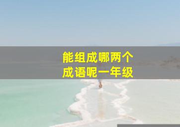 能组成哪两个成语呢一年级