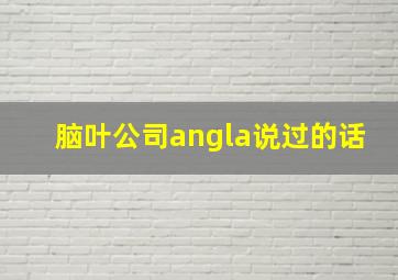 脑叶公司angla说过的话