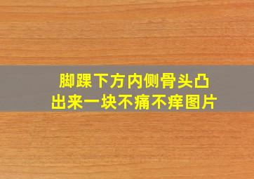 脚踝下方内侧骨头凸出来一块不痛不痒图片