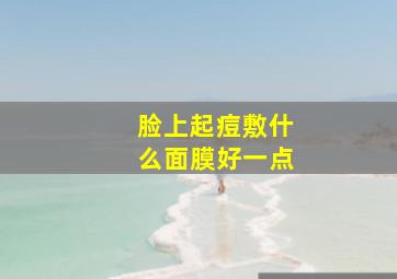 脸上起痘敷什么面膜好一点