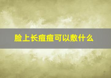 脸上长痘痘可以敷什么