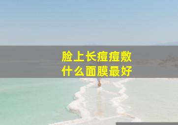 脸上长痘痘敷什么面膜最好