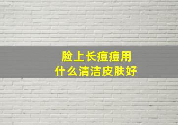 脸上长痘痘用什么清洁皮肤好