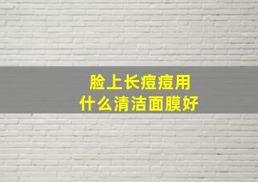 脸上长痘痘用什么清洁面膜好