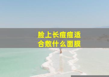 脸上长痘痘适合敷什么面膜