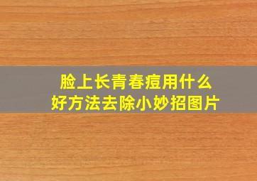 脸上长青春痘用什么好方法去除小妙招图片