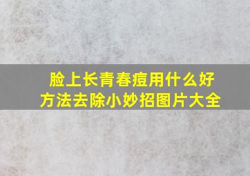 脸上长青春痘用什么好方法去除小妙招图片大全