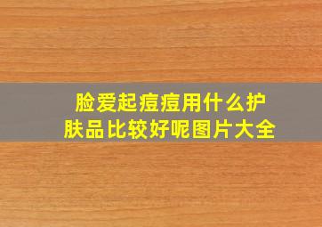 脸爱起痘痘用什么护肤品比较好呢图片大全