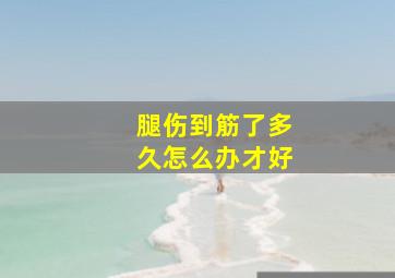 腿伤到筋了多久怎么办才好