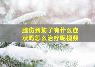 腿伤到筋了有什么症状吗怎么治疗呢视频