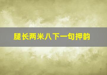 腿长两米八下一句押韵