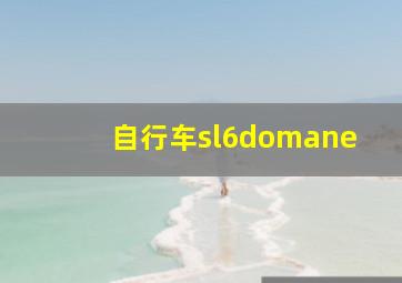 自行车sl6domane