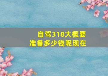 自驾318大概要准备多少钱呢现在