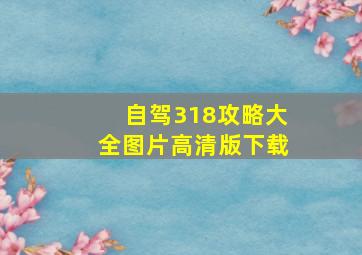 自驾318攻略大全图片高清版下载